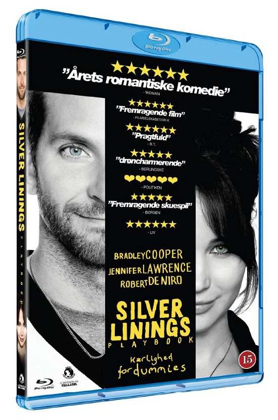 Cover for Silver Linings Playbook (Blu-ray) (2013)