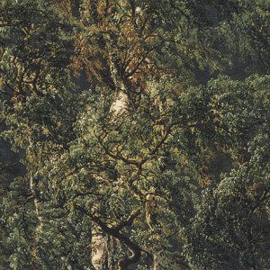 Cover for Solum / Fossheim · * Cellosonaten (CD) (2003)