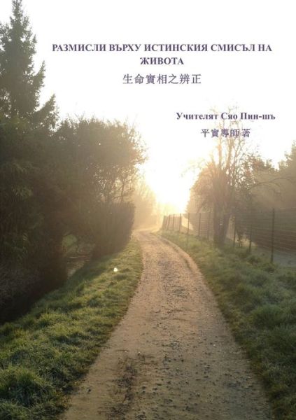 Cover for Pingshi Xiao · Considerations about the true meaning of life (Paperback Book) (2018)