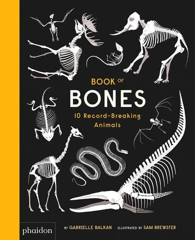 Cover for Gabrielle Balkan · Book of Bones: 10 Record-Breaking Animals (Bog) (2017)