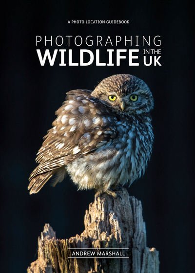 Cover for Andrew Marshall · Photographing Wildlife in the UK: Where and How to Take Great Wildlife Photographs (Paperback Book) (2016)