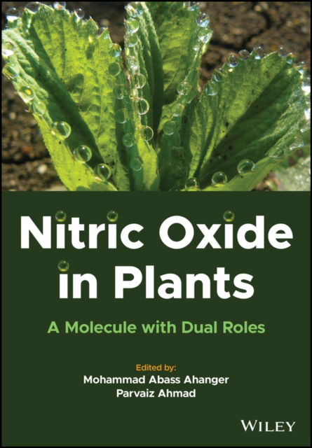 Cover for M Abass Ahanger · Nitric Oxide in Plants: A Molecule with Dual Roles (Hardcover Book) (2022)