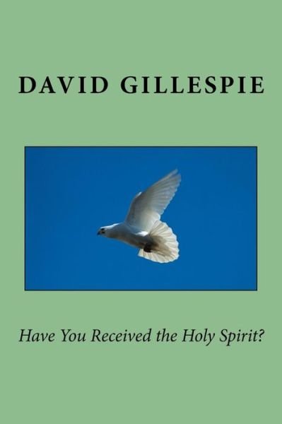 Cover for Mr David M Gillespie · Have You Received the Holy Spirit? (Paperback Bog) (2013)