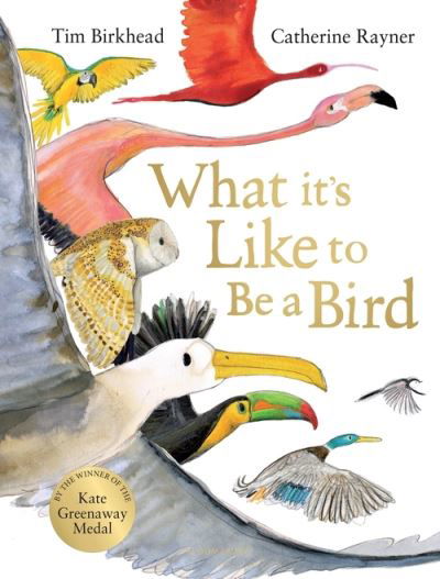 Cover for Tim Birkhead · What it's Like to be a Bird (Gebundenes Buch) (2021)