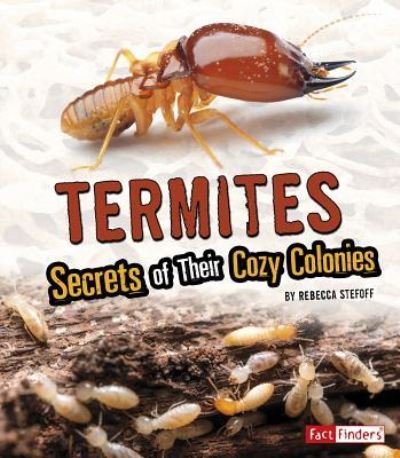 Cover for Rebecca Stefoff · Termites (Paperback Book) (2019)