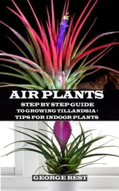 Air Plant - George Best - Bøger - Independently Published - 9781691593125 - 25. september 2019