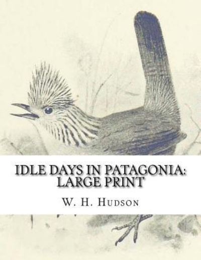 Cover for W H Hudson · Idle Days in Patagonia (Paperback Book) (2018)