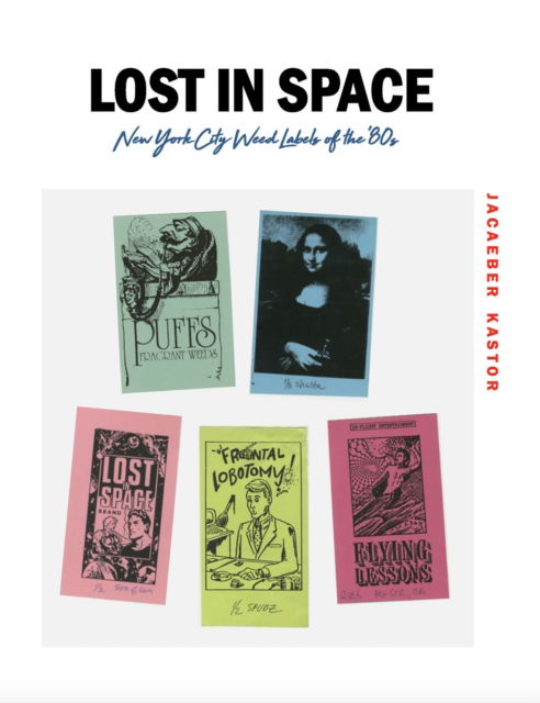 Cover for Jacaeber Kastor · Lost in Space (Paperback Bog) (2025)