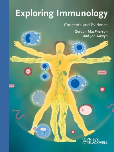 Cover for MacPherson, Gordon (University of Oxford, UK) · Exploring Immunology: Concepts and Evidence (Paperback Book) (2012)