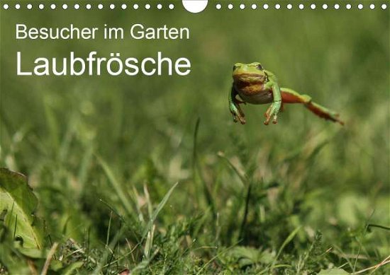 Cover for Wilhelm · Besucher im Garten - Laubfrösch (Bog)