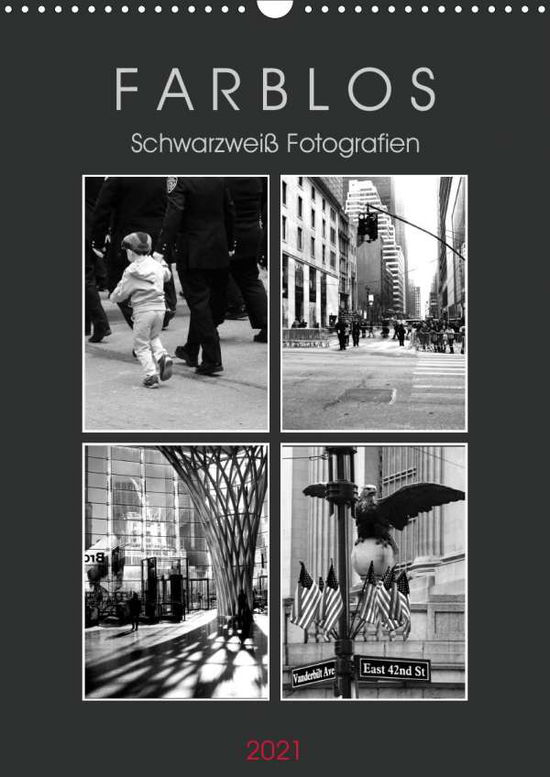 Cover for Seidl · F A R B L O S - Schwarzweiß Fotog (Book)