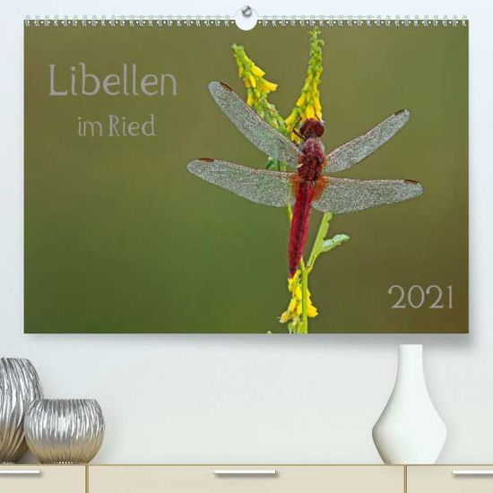 Cover for Oldani · Libellen im Ried (Premium, hochw (Book)