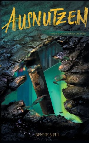 Cover for Dennis Bleul · Ausnutzen (Paperback Book) (2021)