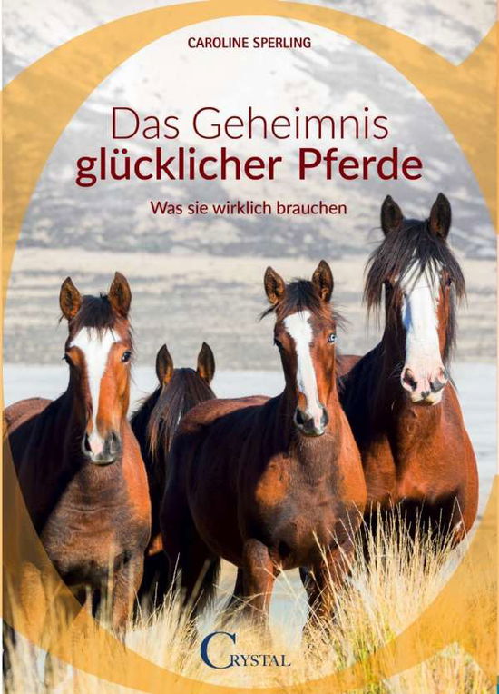 Cover for Sperling · Über das Geheimnis glücklicher (Book)