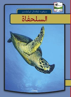 Cover for Sigurd Toftdahl Terkelsen · Min første bog - arabisk: Skildpadder - arabisk (Gebundenes Buch) [1. Ausgabe] (2019)