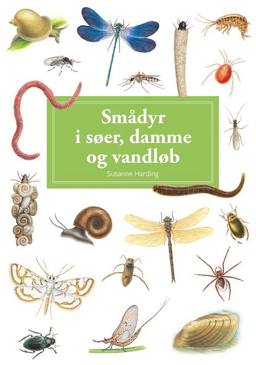 Cover for Susanne Harding · Spiralbogsserien: Smådyr i søer, damme og vandløb, display m/10 eks. (Spiral Book) [1st edition] (2024)