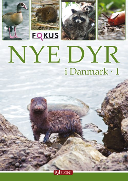 Cover for Lars Groth · Fokus: Nye Dyr I Danmark 1 (Bound Book) [1. Painos] [Indbundet] (2009)