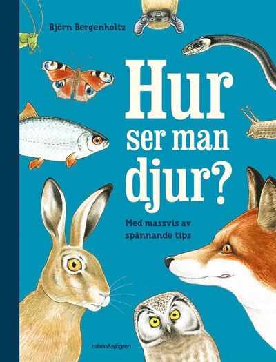 Cover for Björn Bergenholtz · Hur ser man djur? : en upptäckarbok för nyfikna (ePUB) (2020)