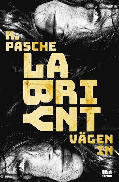 Cover for Karin Pasche · Labyrint. Vägen in (ePUB) (2017)