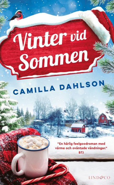 Cover for Camilla Dahlson · Sommen: Vinter vid Sommen (Paperback Book) (2020)