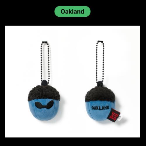Cover for J-HOPE (BTS) · HOPE ON THE STAGE FINAL - Acorn Charm (MERCH) [Oakland] (2025)