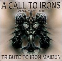 Call to Irons Tribute to Iron - Call to Irons: Tribute to Iron - Música - DWELL - 0027297105126 - 6 de março de 2001