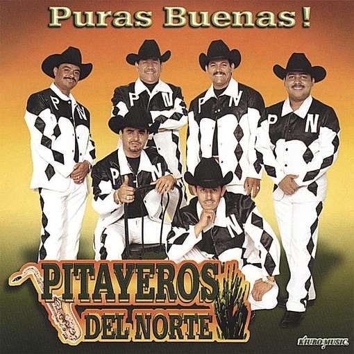Puras Buenas - Pitaveros Del Norte - Musiikki - CD Baby - 0066589500126 - tiistai 3. heinäkuuta 2007