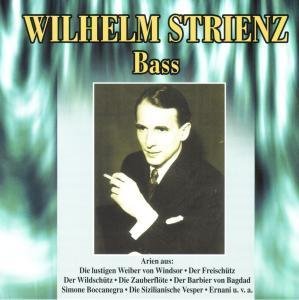 Wilhelm Strienz Vol. 1 - Wilhelm Strienz - Musikk - Publicdom - 0090204369126 - 7. august 1995