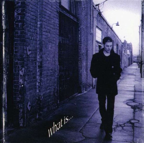What Is... - Richie Kotzen - Musikk - SPITFIRE - 0670211507126 - 9. mai 2000
