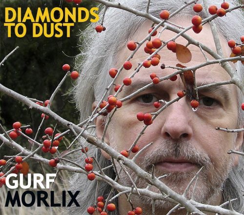 Cover for Gurf Morlix · Diamonds To Dust (CD) [Digipack] (2007)