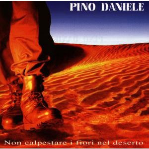 Cover for Daniele Pino · Non Calpestare I Fiori Nel Deserto (CD)