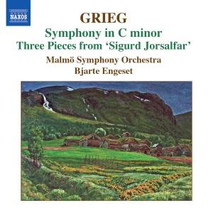 Cover for Edvard Grieg · Orchestral Music Vol.3 (CD) (2007)
