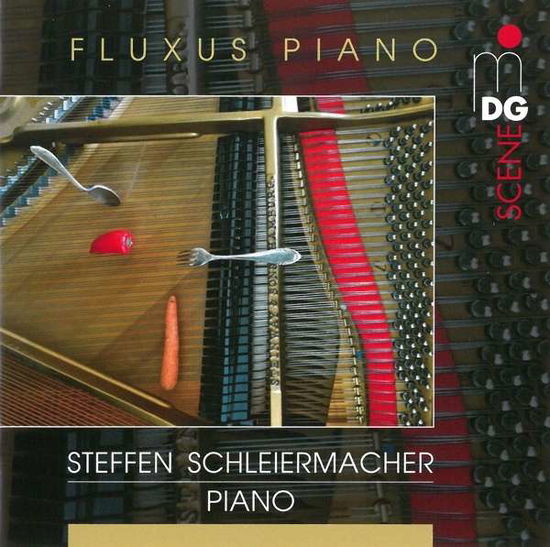 Cover for Steffen Schleiermacher · Fluxus Piano (CD) (2015)