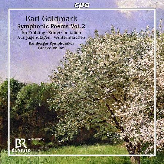 Symphonic Poems Vol.2: Concert Ouverture Im Fruhling - Bamberger Symphoniker - Musiikki - CPO - 0761203525126 - perjantai 9. lokakuuta 2020