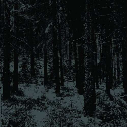 Cover for Moloch · Abstrakter Wald (CD) (2019)