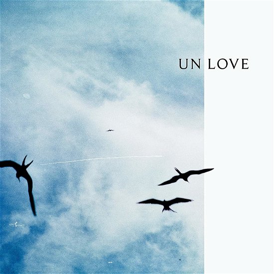 Cover for Reuben and the Dark · Un Love (CD) (2019)