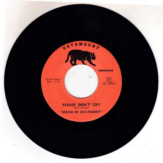 Please Don't Cry / Why Did You Go (Digital 45) - Sound of Excitement - Musik - ESMM - 0894232821126 - February 21, 2023