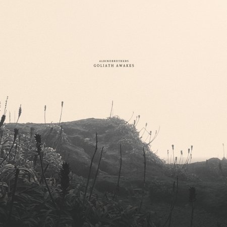 Cover for Albinobrothers · Goliath Awakes (LP) (2024)
