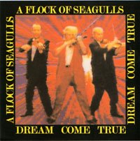 Cover for A Flock of Seagulls · Dream Come True (CD) [Bonus Tracks edition] (2011)