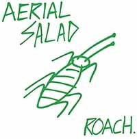 Cover for Aerial Salad · Roach (CD) (2017)