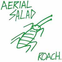 Roach - Aerial Salad - Music - CADIZ - PLASTERER RECORDS - 5024545804126 - November 17, 2017