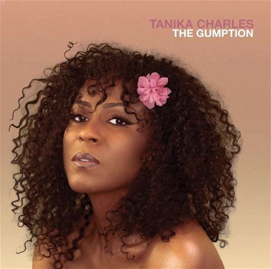 Cover for Tanika Charles · Gumption (CD) (2019)