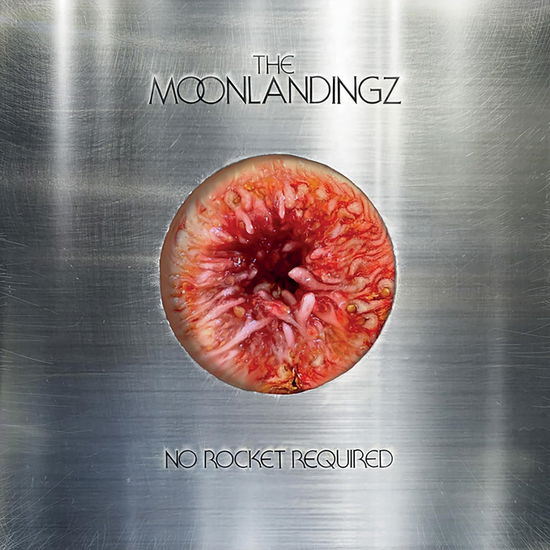 Cover for Moonlandingz The · No Rocket Required (Indie Only) (LP) (2025)