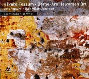 Cover for Havard Fossum · Examination of What (CD) (2013)