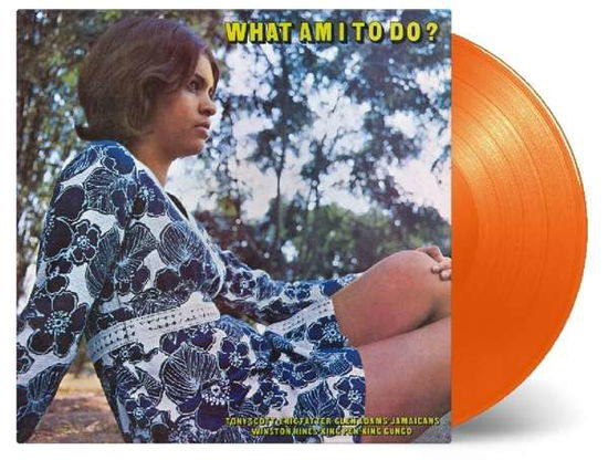 Cover for Aa.vv. · What I Am to Do ( Mono)  - LP 180 Gr. / 500 Numbered Copies on Colored Orange V (LP) [Coloured edition] (2020)