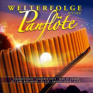 Welterfolge Auf Der Panfl - Eiter Hans - Muziek - TYRO - 9003549775126 - 14 december 2020