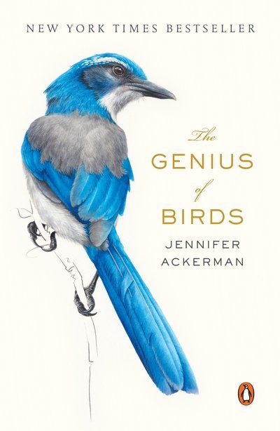 The Genius of Birds - Jennifer Ackerman - Books - Penguin Publishing Group - 9780399563126 - April 11, 2017