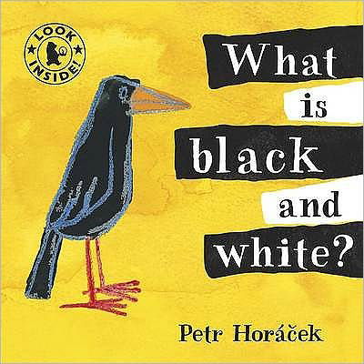 Cover for Petr Horacek · What Is Black and White? (Kartongbok) (2009)