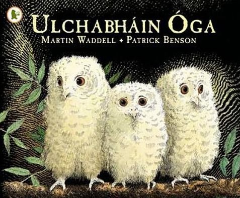 Cover for Martin Waddell · Ulchabhain Oga (Owl Babies) - Walker Eireann (Paperback Book) (2012)