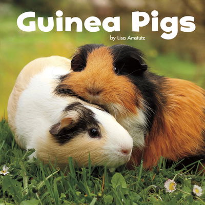 Cover for Lisa J. Amstutz · Guinea Pigs - Our Pets (Hardcover Book) (2018)